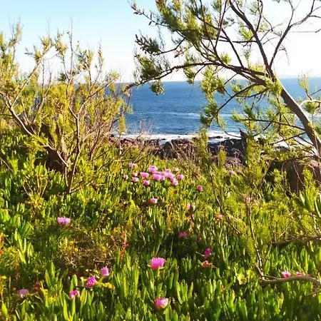 Holiday home La Casetta 